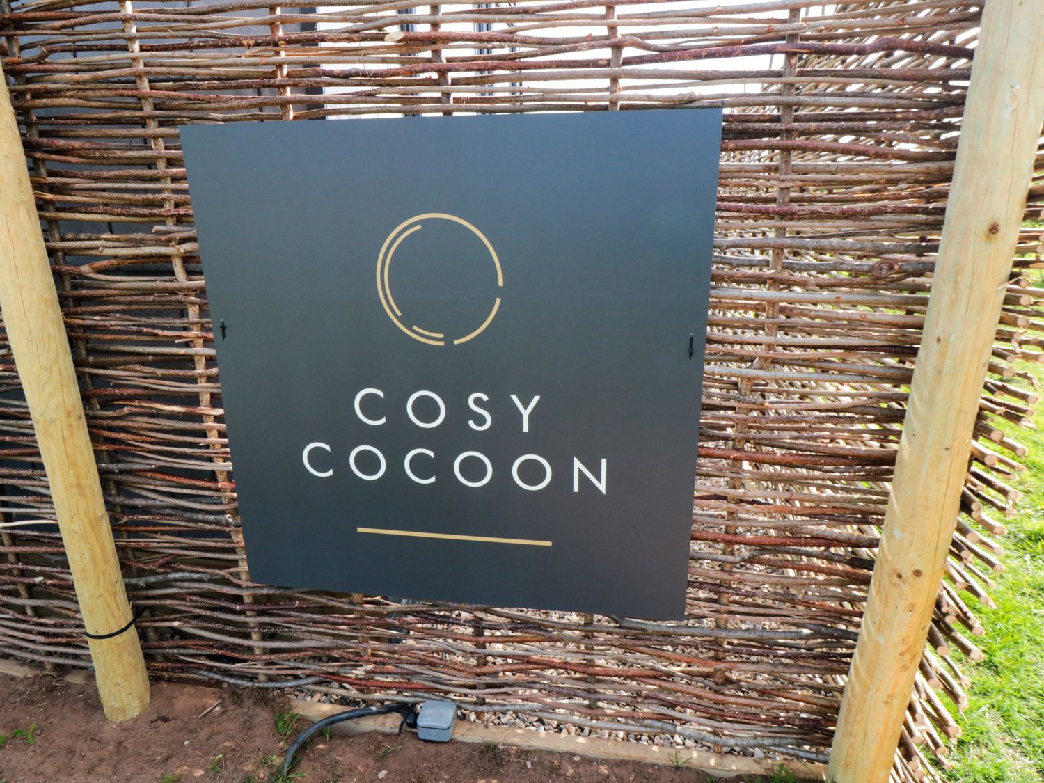 Cosy Cocoon — photo 3